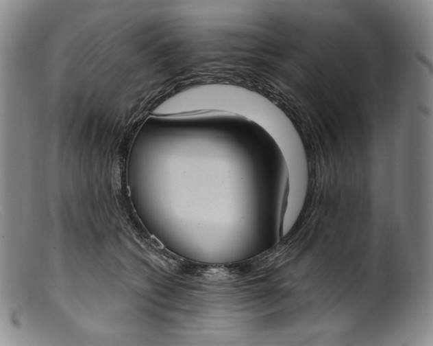 X0000099440562200805231720