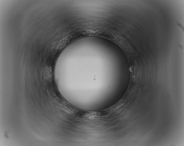 X0000099440563200805231720