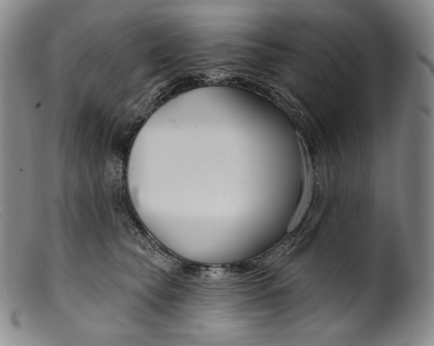 X0000099440565200805231720