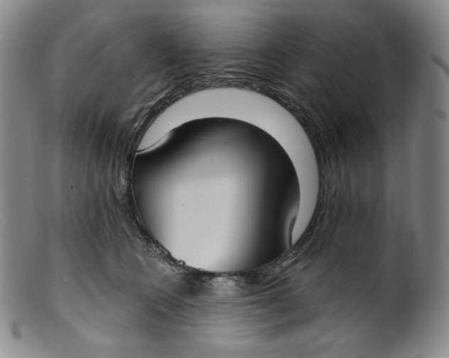 X0000099440566200805231720