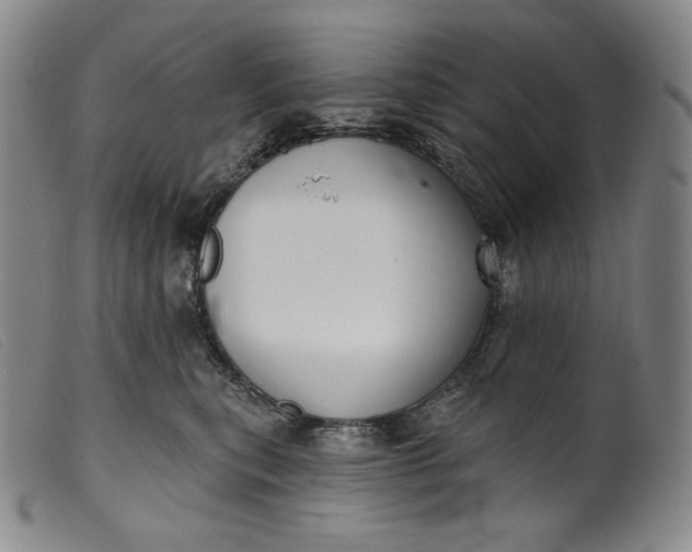 X0000099440567200805231720