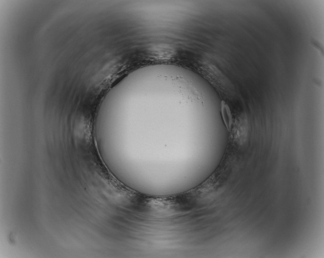X0000099440568200805231720