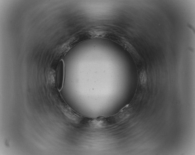 X0000099440570200805231720