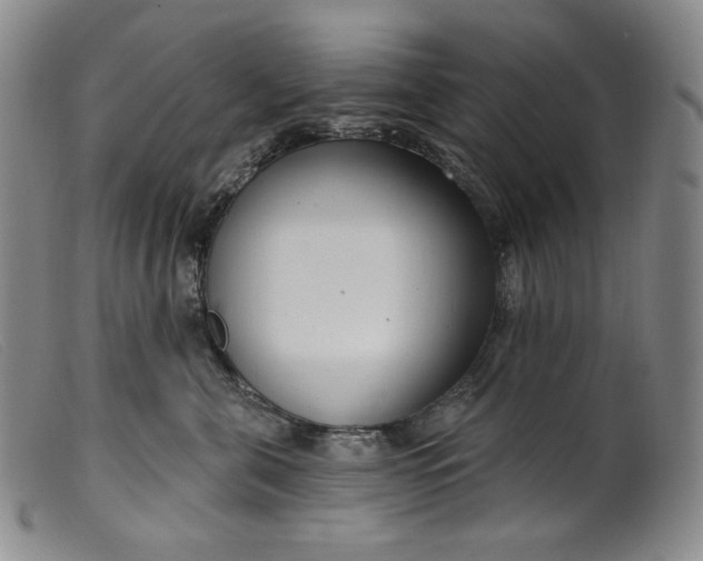 X0000099440571200805231720