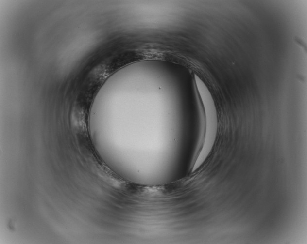 X0000099440573200805231721
