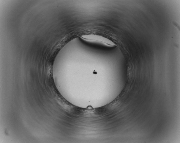 X0000099440574200805231721