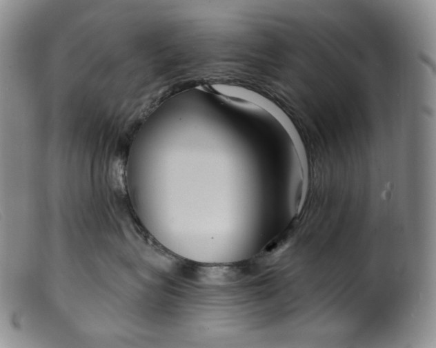 X0000099440575200805231721