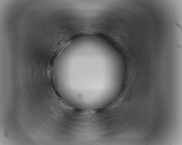 X0000099440576200805231721