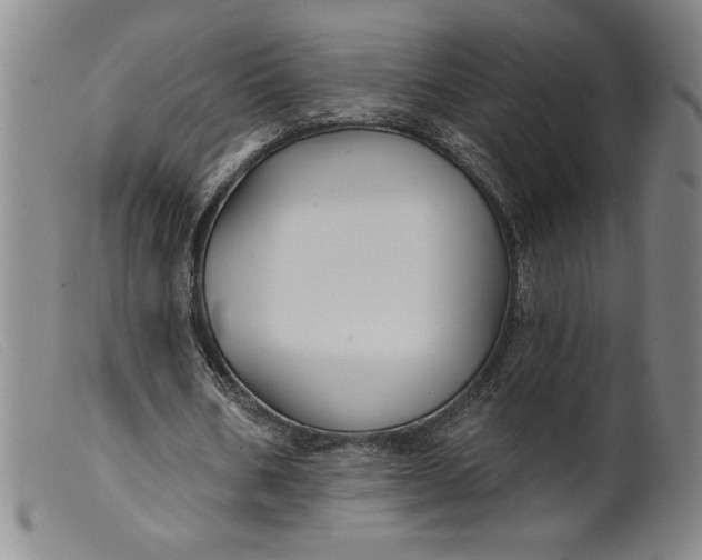 X0000099440578200805231720