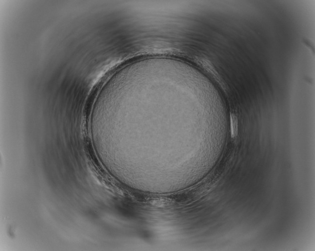 X0000099440579200805231720