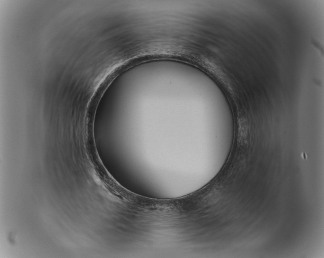 X0000099440580200805231720