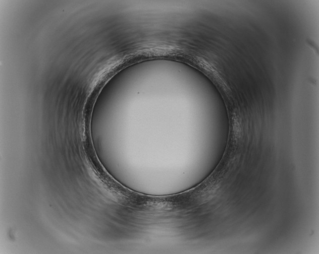 X0000099440582200805231720