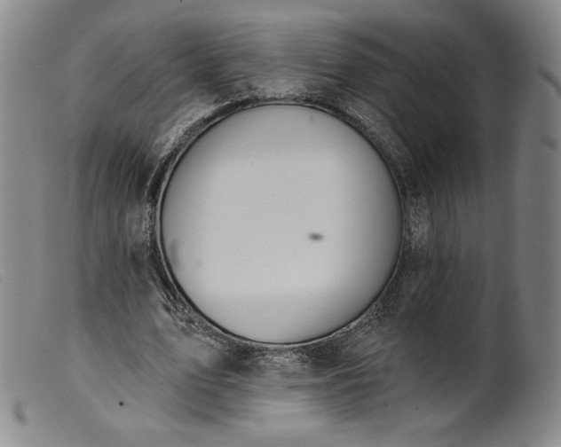 X0000099440583200805231720