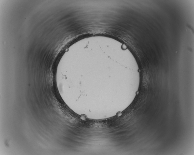X0000099440584200805231720