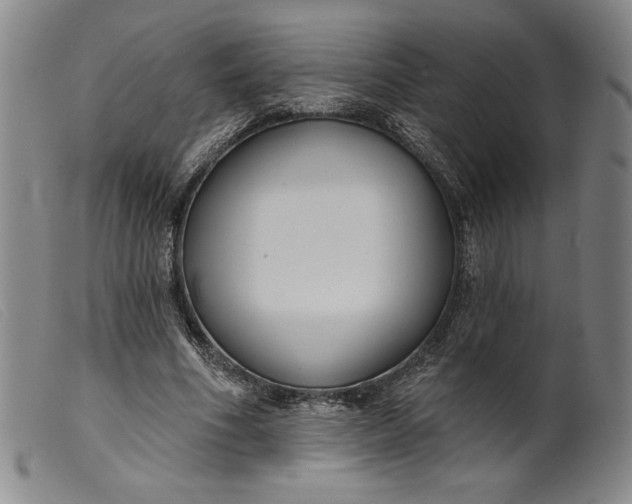 X0000099440586200805231720