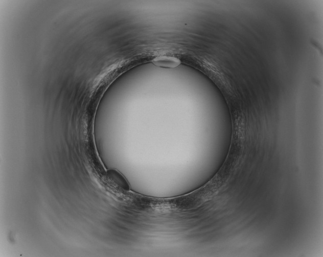 X0000099440587200805231720