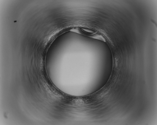 X0000099440588200805231720
