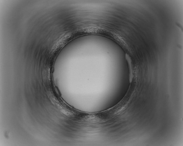 X0000099440589200805231720