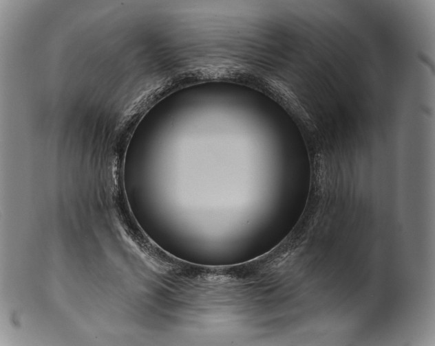 X0000099440590200805231719