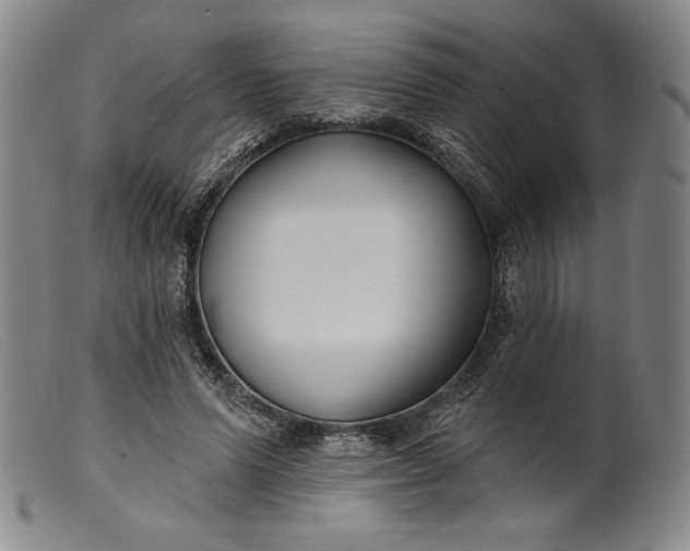 X0000099440591200805231719