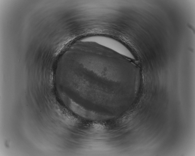 X0000099440592200805231719