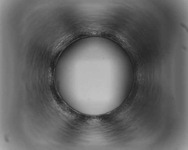 X0000099440594200805231719