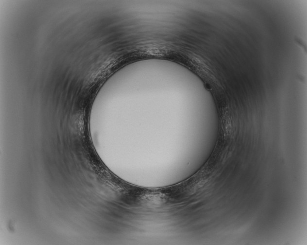 X0000099440595200805231719