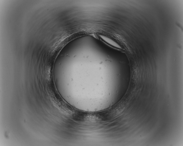X0000099440596200805231719