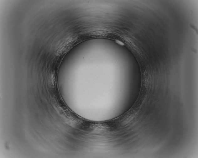 X0000099440597200805231719