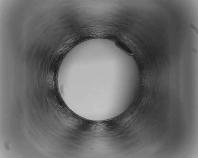 X0000099440599200805231719