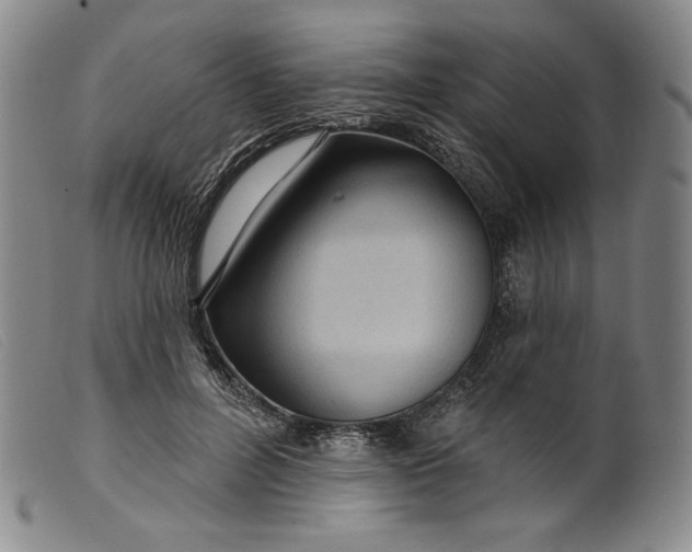X0000099440600200805231719