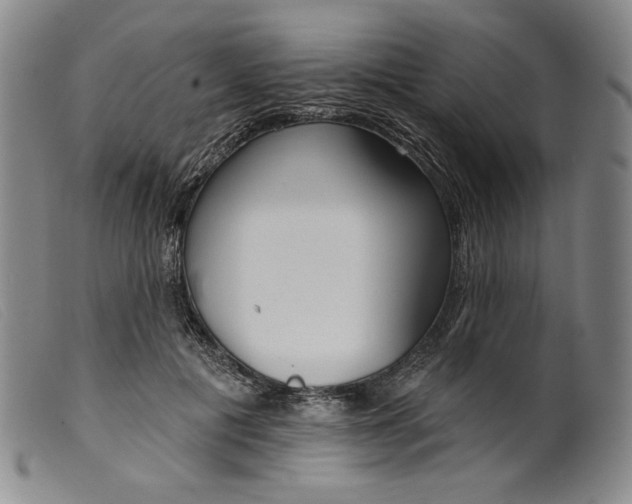 X0000099440601200805231719