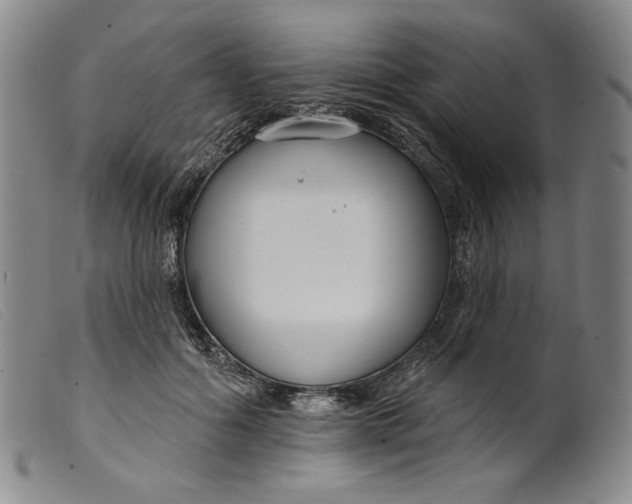 X0000099440602200805231719