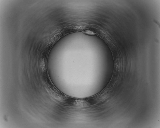 X0000099440605200805231719