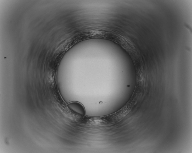 X0000099440607200805231719
