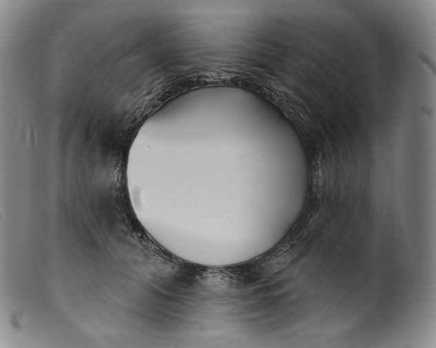 X0000099440608200805231719