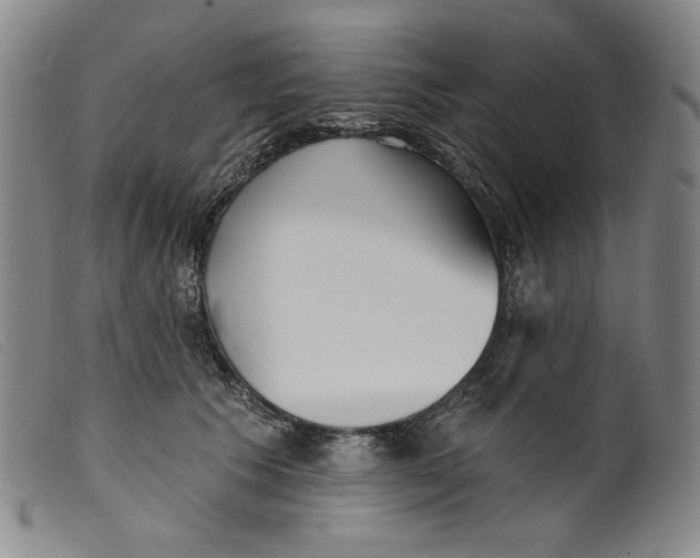X0000099440609200805231719