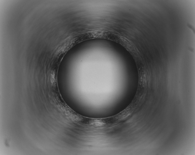 X0000099440610200805231719