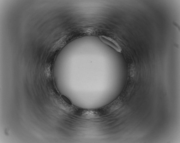 X0000099440611200805231719
