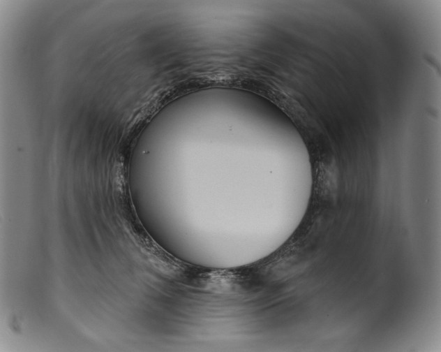 X0000099440612200805231719