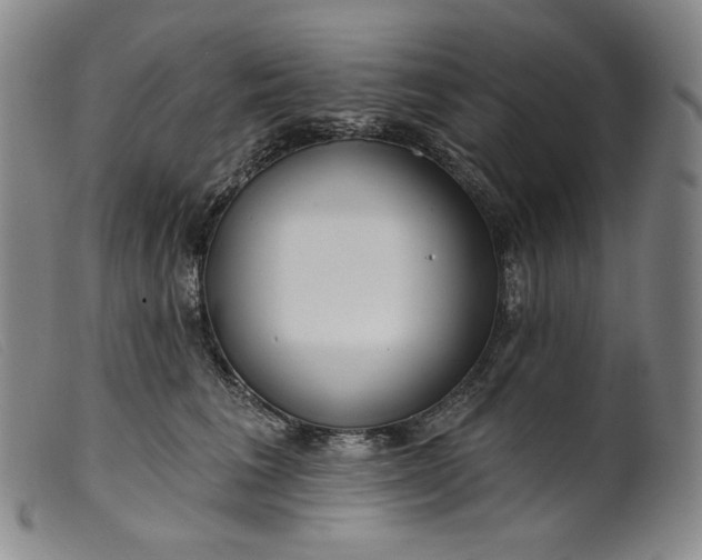X0000099440613200805231719