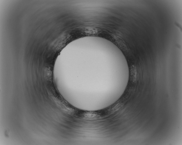 X0000099440614200805231719