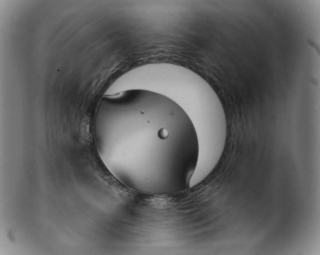X0000099440615200805231719