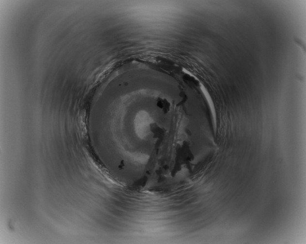 X0000099440616200805231719