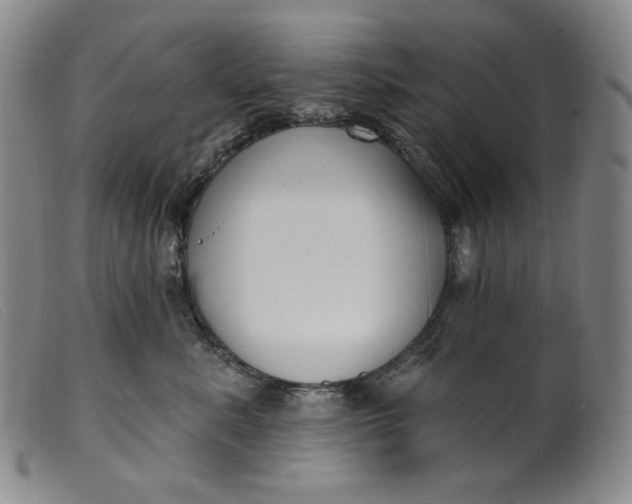 X0000099440619200805231719