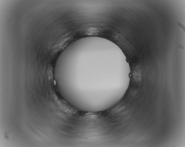 X0000099440620200805231719