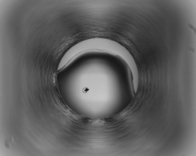 X0000099440621200805231719
