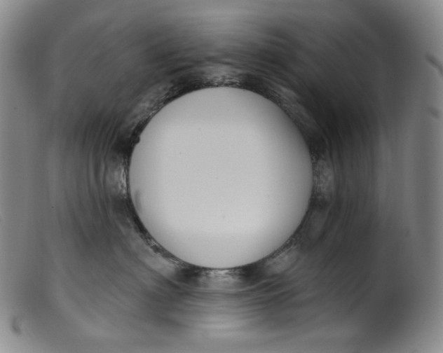 X0000099440622200805231719