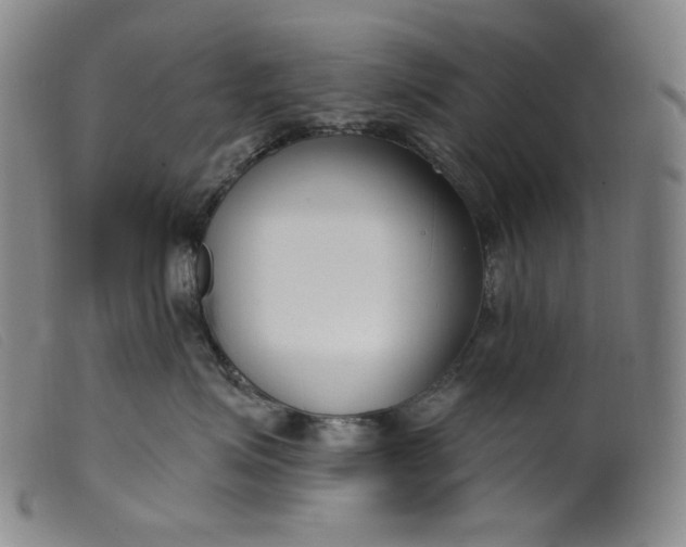 X0000099440623200805231719