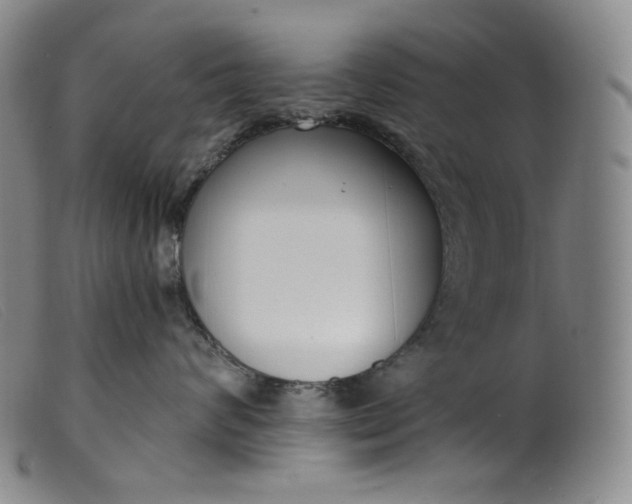 X0000099440624200805231719
